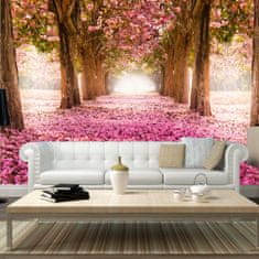 Artgeist Fototapeta - Ružový raj 250x175 vlísová tapeta na stenu