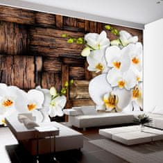 Artgeist Fototapeta - Kvitnúce orchidey 400x280 vlísová tapeta na stenu