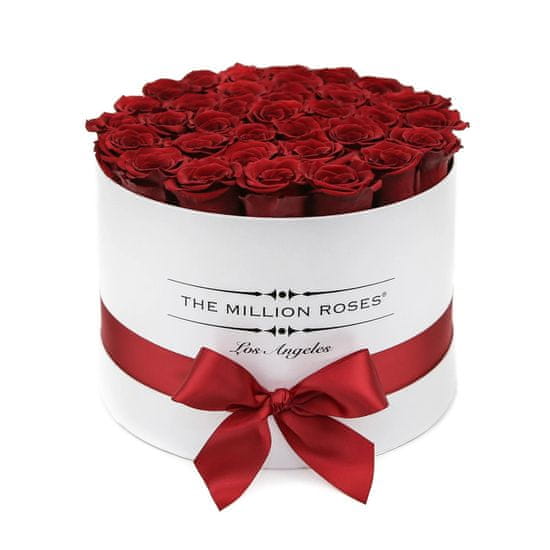 The Million Roses  Stredný box - červené trvácne ruže