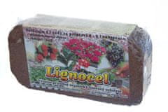 Floraservis Lignocel (1 ks)