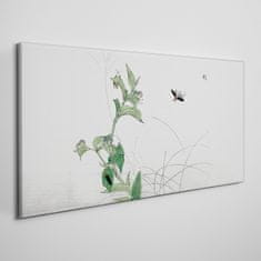 COLORAY.SK Obraz na plátne Ázijské hmyz listy 120x60 cm