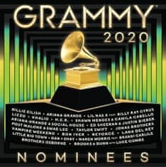 Grammy Nominees 2020 - Various Artists CD