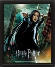 Epee Harry Potter Obraz 3D - Snape
