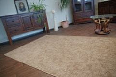 Dywany Lusczów Kusový koberec SERENADE Hagy svetlohnedý, velikost 100x300