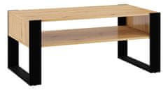 Homlando Konferenčný stolík NUKA 110x60 cm dub artisan / čierny 