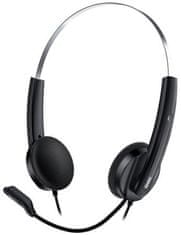Genius HS-220U, Headset, náhlavný, drôtový, s mikrofónom, ovládanie hlasitosti, USB, čierno-strieborný