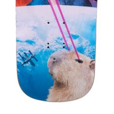 Switch Boards Deck longboardboardový Switch Capybara Collage pre cruising a surfing 31.8", 5mm rocker, 3D grafika, PU sidewalls, vodeodolný, vrstva proti poškriabaniu
