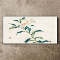 COLORAY.SK Obraz na plátne ázijské kvety 120x60 cm