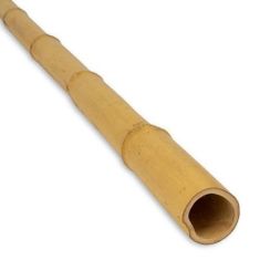 podpera bambusová priemer 10/12mm, dĺžka 105cm