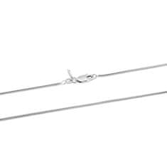 Beneto Elegantná strieborná retiazka Hádok AGS642 CH (Dĺžka 50 cm)