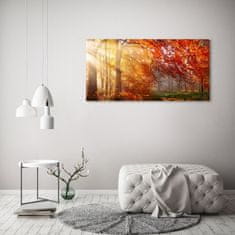 Wallmuralia.sk Foto obraz akrylové sklo Jesenný les 125x50 cm 2 prívesky