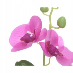 Kaemingk Umelá orchidea v kvetináči 25 cm