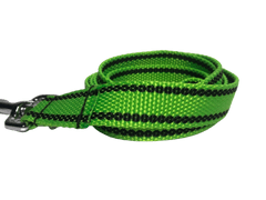 Palkar Vodítko z popruhu pre psov 150 cm x 25 mm svetlo-zelená s páskami