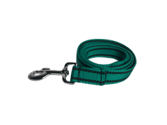 Palkar Vodítko z popruhu pre psov 150 cm x 25 mm tmavo-zelená s páskami
