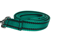Palkar Vodítko z popruhu pre psov 150 cm x 25 mm tmavo-zelená s páskami