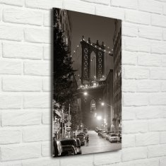 Wallmuralia.sk Vertikálny foto obraz sklenený Manhatttan Nový York 50x100 cm 2 prívesky