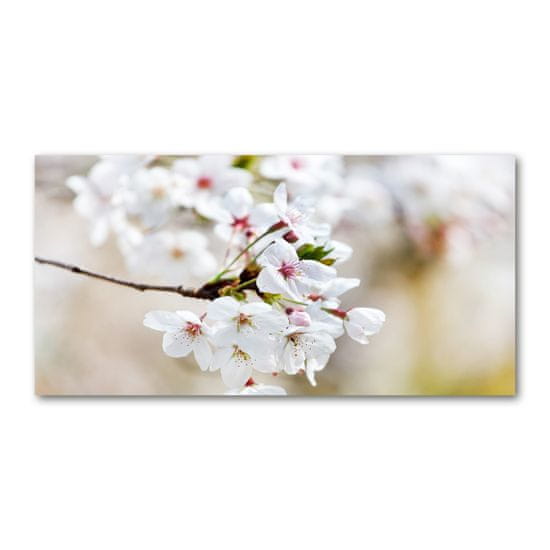 Wallmuralia.sk Foto obraz akrylový na stenu Kvety višne