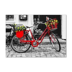 Wallmuralia.sk Foto obraz akrylové sklo Mestský bicykel 100x50 cm 2 prívesky