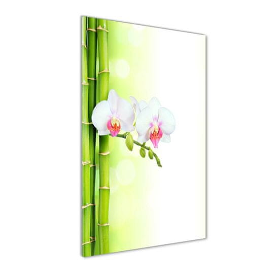 Wallmuralia.sk Vertikálny foto obraz sklenený Orchidea a bambus