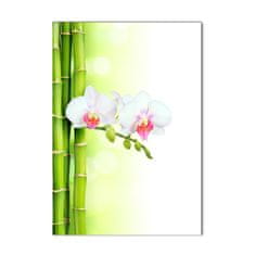 Wallmuralia.sk Vertikálny foto obraz sklenený Orchidea a bambus 60x120 cm 2 prívesky