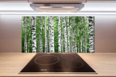 Wallmuralia.sk Sklenený panel do kuchyne Brezy 140x70 cm