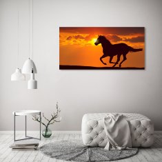 Wallmuralia.sk Foto obraz akrylový na stenu Kôň západ slnka 100x50 cm 2 prívesky