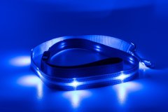 limaya LED svietiaca vodítko pre psov thin strip Blue