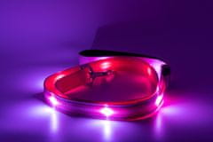 limaya LED svietiaca vodítko pre psov thin strip Pink