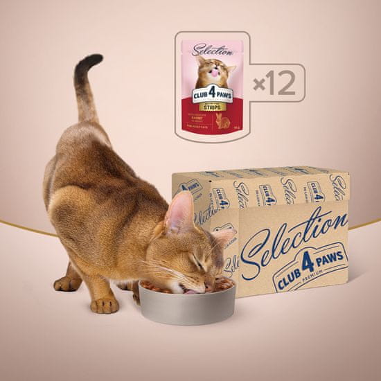Club4Paws Premium Kapsičky pre mačky prúžky s kralikom v omačke 12x85g