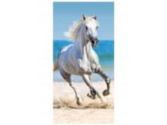 FARO Osuška Kůň na pláži / ručník Kůň na pláži bavlna 70x140