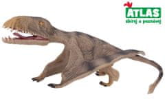 B - Figúrka Pterosaurus 17,2 cm
