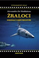 Žraloky, dokonalí vodní predátori - Alessandro De Maddalena