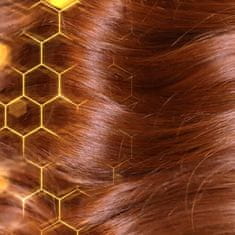 Garnier Šampón s medom a propolisom na veľmi poškodené vlasy Botanic Therapy (Repairing Shampoo) (Objem 500 ml - eko náhradní náplň)
