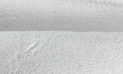BO-MA Kusový koberec Rabbit new 08 grey 80x150