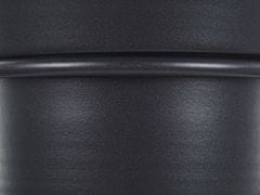 Beliani Závesný kvetináč 18 x 12 x 62 cm čierny AGIOS