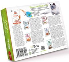 Brit Healthy & Delicious present for cats