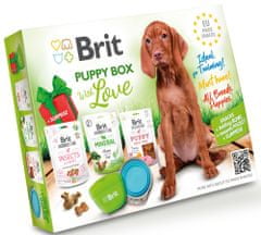 Brit EÚ made snacks puppy box