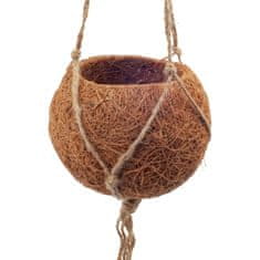 Domestico Závesný obal na kvetináč z kokosového vlákna KOKODAMA, zelený
