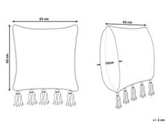 Beliani Bavlnený vankúš s geometrickým vzorom so strapcami 45 x 45 cm béžový / čierny SAMBUCUS