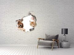 Wallmuralia.sk 3D diera na stenu Psy a mačky 125x125 cm