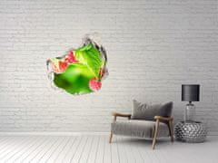 Wallmuralia.sk 3D diera na stenu Maliny v záhrade 125x125 cm