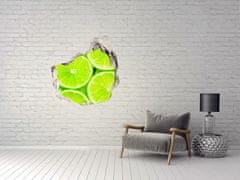 Wallmuralia.sk 3D diera na stenu Limes 75x75 cm
