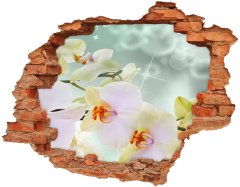 Wallmuralia.sk 3D diera nálepka Biela orchidea 120x93 cm