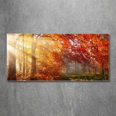 Wallmuralia.sk Foto obraz akrylové sklo Jesenný les 125x50 cm 2 prívesky