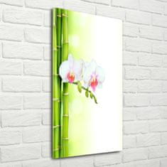 Wallmuralia.sk Vertikálny foto obraz sklenený Orchidea a bambus 60x120 cm 2 prívesky