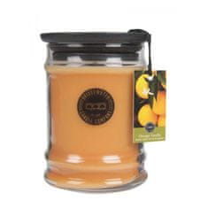 Bridgewater vonná sviečka Orange Vanilla, malá 250g