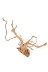 Zolux Akvarijné dekorácie pavúčí koreň 50-60cm