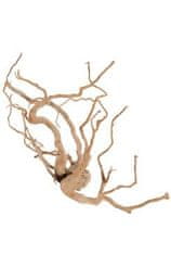 Zolux Akvarijné dekorácie pavúčí koreň +60cm