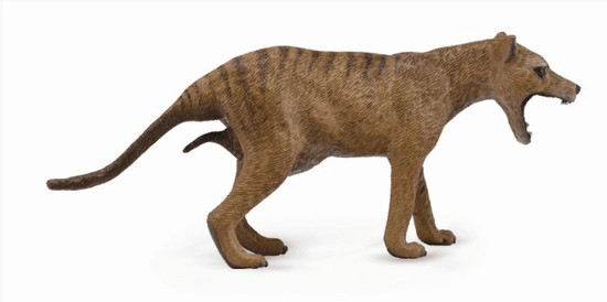 COLLECTA figúrka Tasmánsky vakovlk - Thylacine - samica