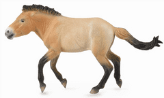 COLLECTA figúrka Kôň Przewalského žrebec